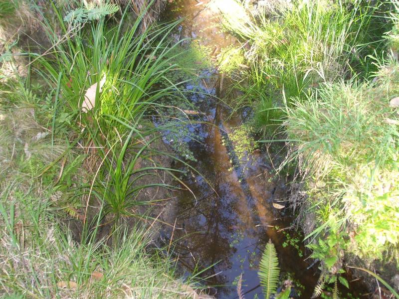 Spring Creek Property Picture 3