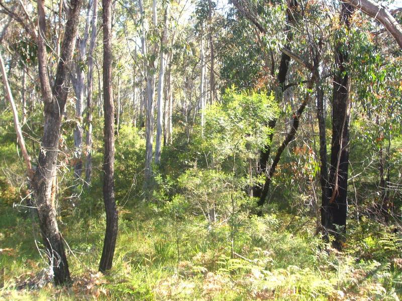 Spring Creek Property Picture 2