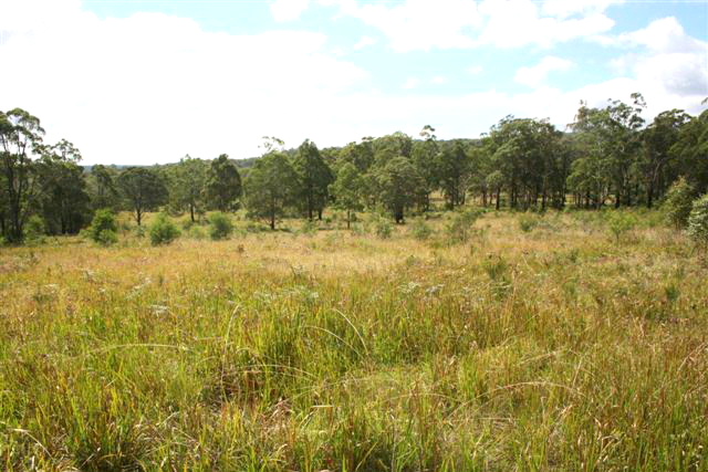 Bald Rock Property Picture 3