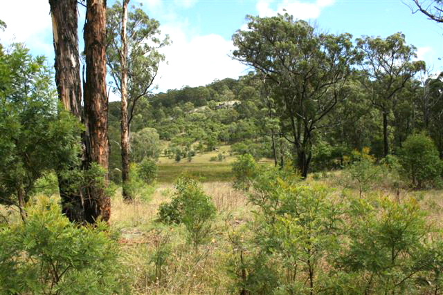 Bald Rock Property Picture 2