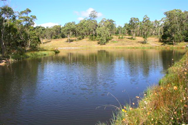 Bald Rock Property Picture 1