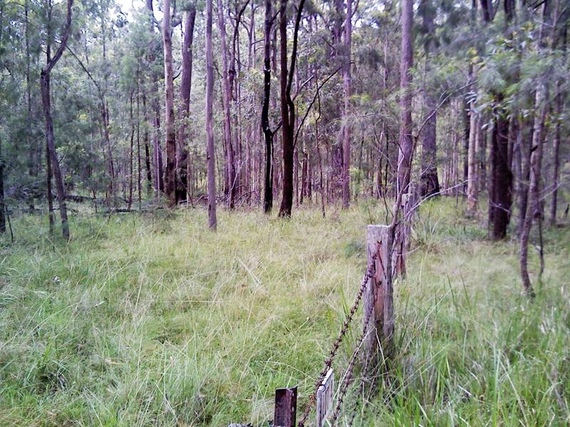 Bush Getaway Picture 3