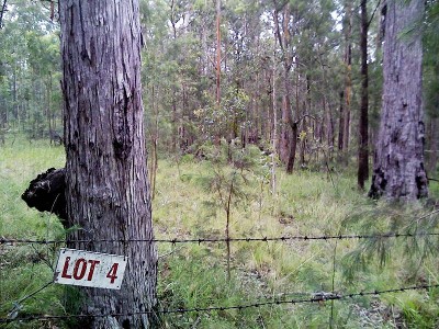 Bush Getaway Picture