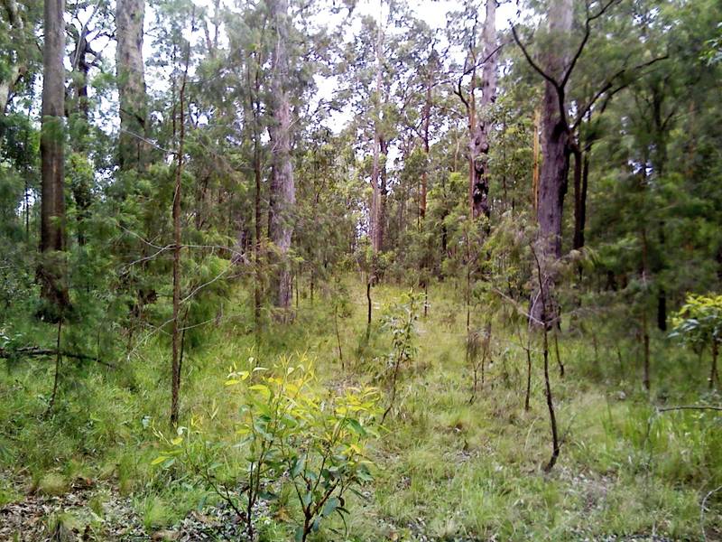 Bush Getaway Picture 2