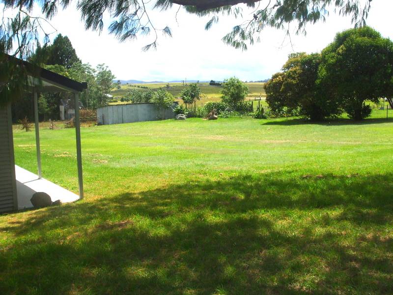 Vacant Block with Building Potential Picture 1