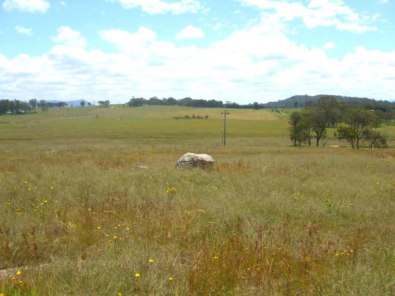 Several House Sites to Choose From! Picture 2
