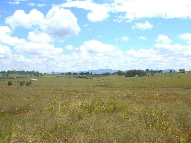 Several House Sites to Choose From! Picture 3