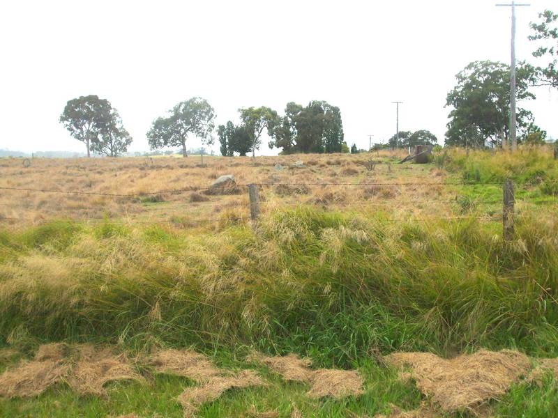 Surick Heights Lots Available Picture 2