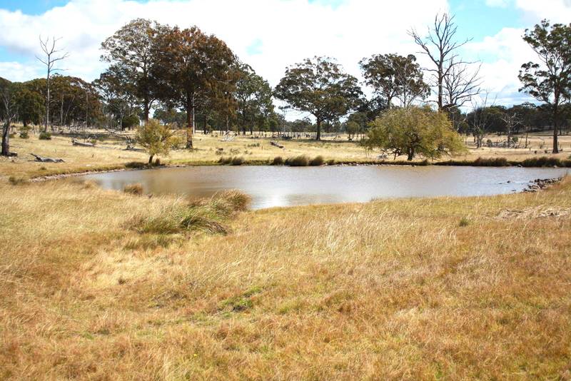 Eastlea Picture 2