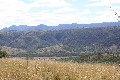 Sound Grazing Property Picture