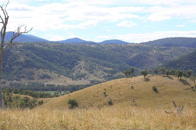 Sound Grazing Property Picture