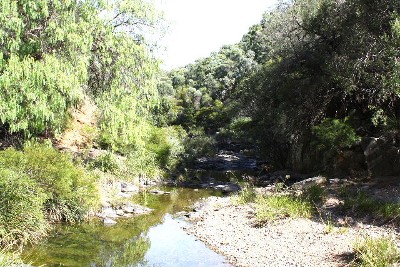 Auenue Gully Picture