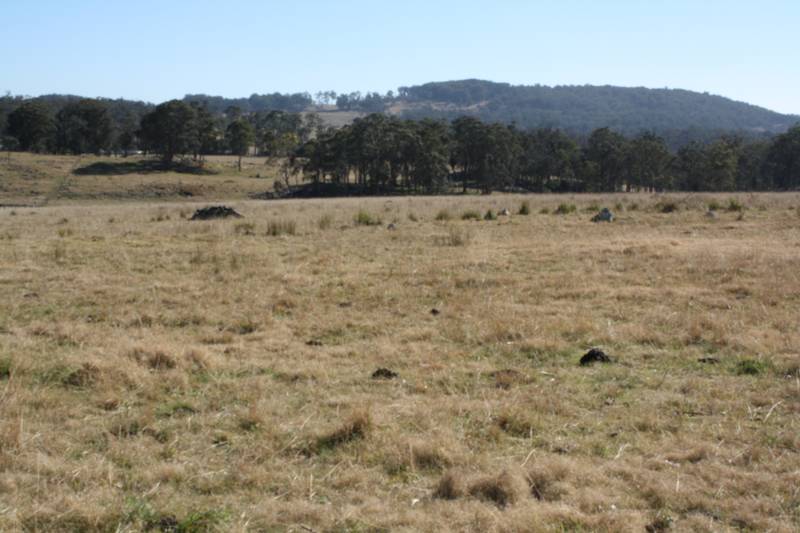 Close to Town Picture 1