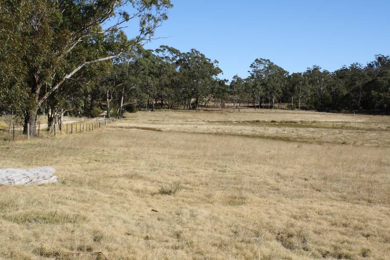 Close to Town Picture 2