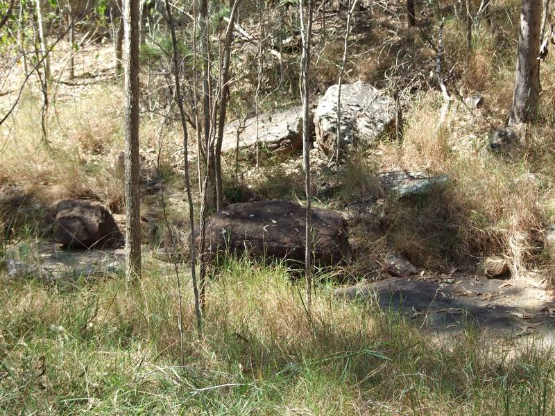 The Call of Nature - only costs $82 000 - Excellent Value! Picture 3