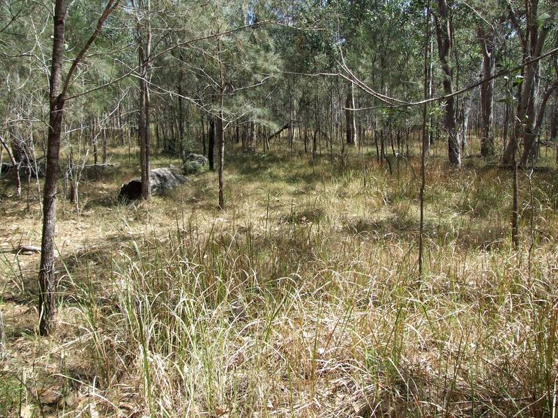 The Call of Nature - only costs $82 000 - Excellent Value! Picture 2