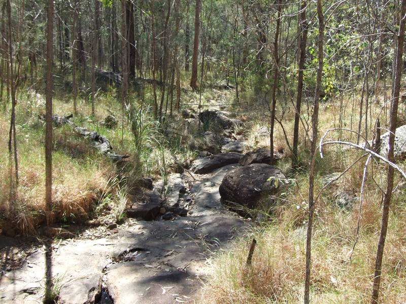 The Call of Nature - only costs $82 000 - Excellent Value! Picture 1