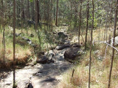 The Call of Nature - only costs $82 000 - Excellent Value! Picture