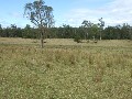730 acres Grazing Country Picture