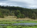 730 acres Grazing Country Picture