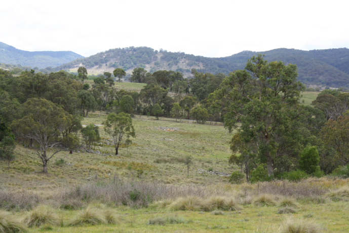 Spectacular Views Picture 2