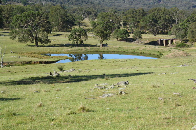 Mt Welcome Picture 3