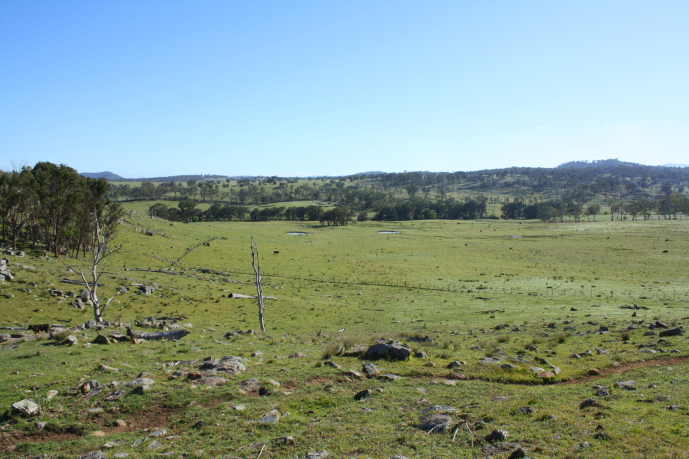 Mt Welcome Picture 2