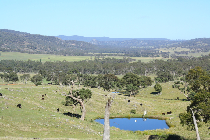 Mt Welcome Picture 1