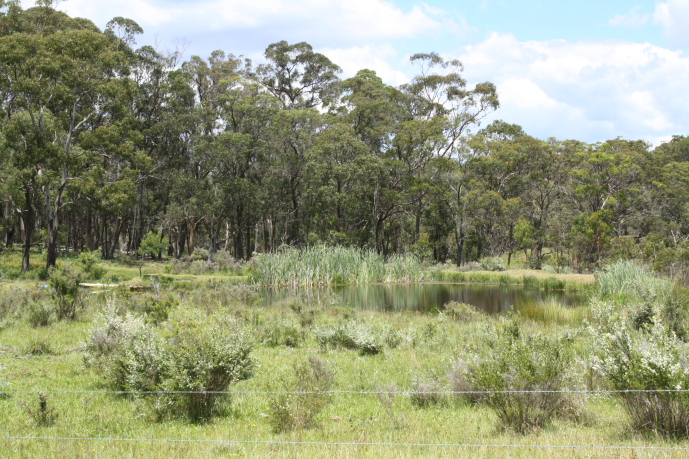 Many Waters Picture 2