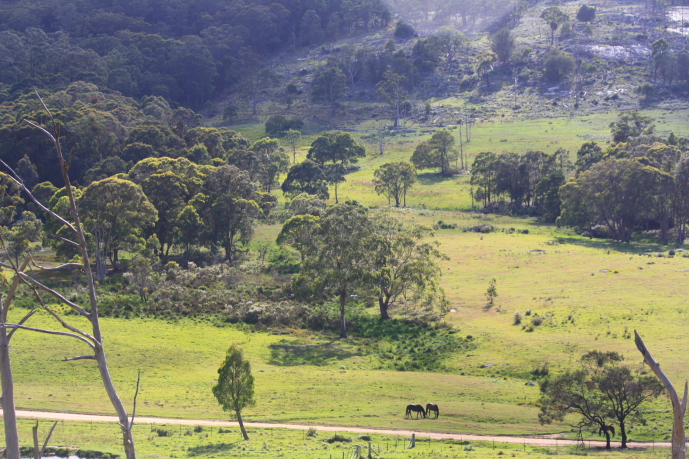 Many Waters Picture 1