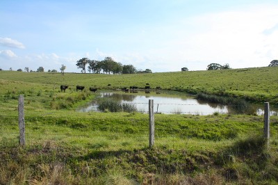 Timbarra Homestead Picture