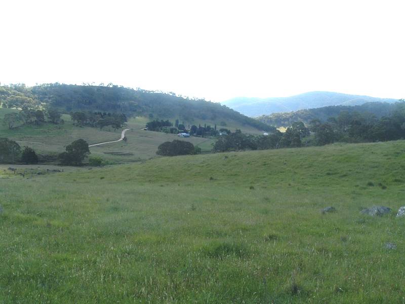 Coppabella Picture 3