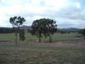 Kokoda Picture