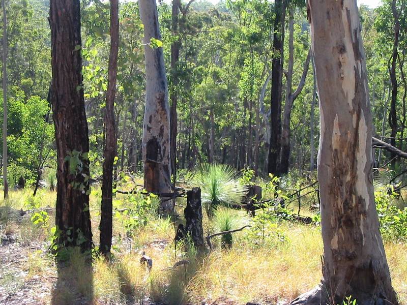 Mountain Beauty Picture 3