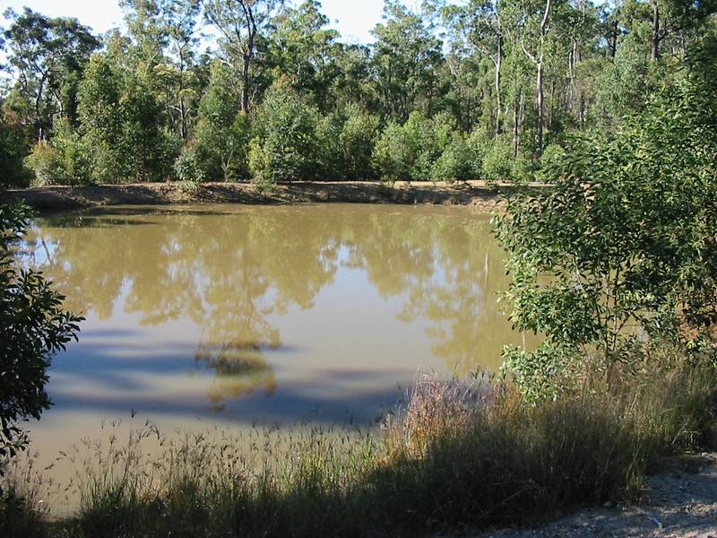 Mountain Beauty Picture 1