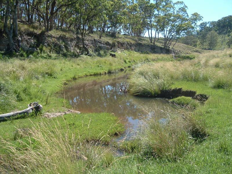 Prime Cattle Grazing Property Picture 2