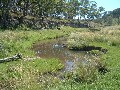 Prime Cattle Grazing Property Picture