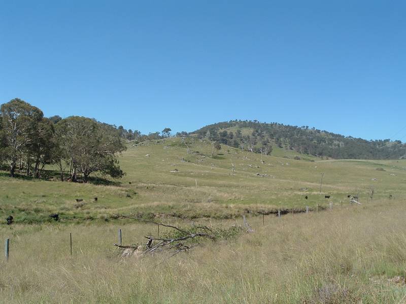 Prime Cattle Grazing Property Picture 1