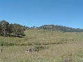 Prime Cattle Grazing Property Picture