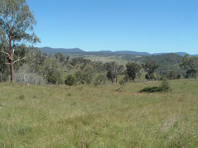 Prime Cattle Grazing Property Picture 3