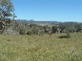 Prime Cattle Grazing Property Picture