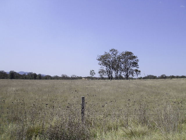 Strathaven Picture 3