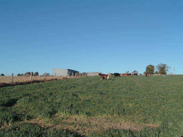 Lot 120 Bellevue Road Picture 1