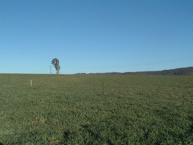 Lot 120 Bellevue Road Picture 3
