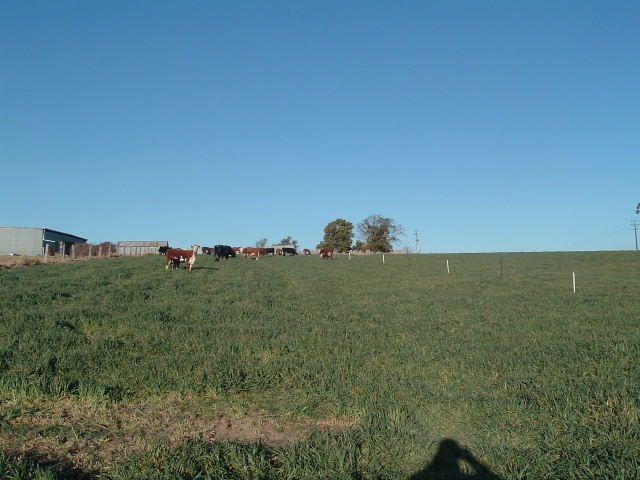 Lot 120 Bellevue Road Picture 2