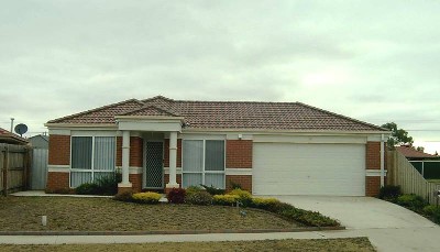 Young & Vibrant Picture