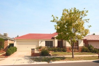 Young Cambridge Family Sized Pleaser Picture