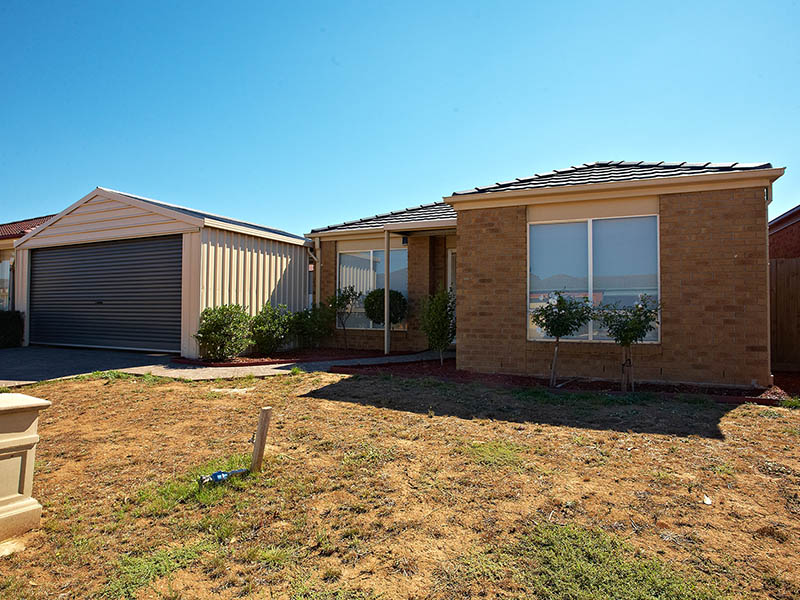 Don't Blink This Is It! Picture 1