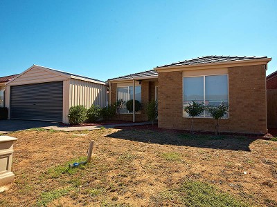 Don't Blink This Is It! Picture