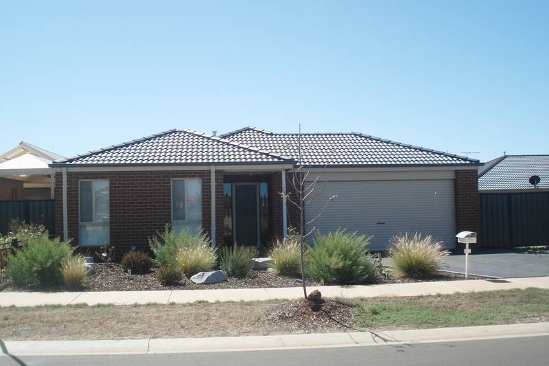 Now's Your Chance! Picture 1